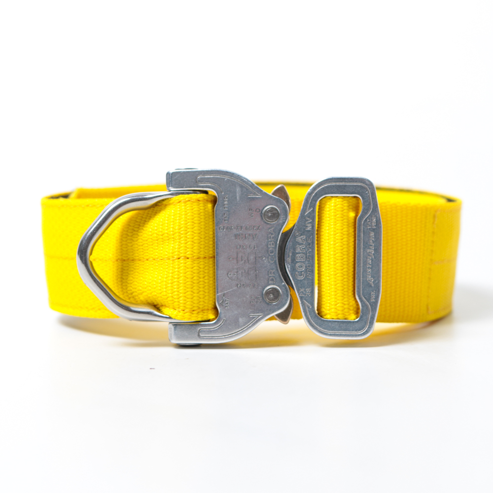 Custom Halsband 40mm Gelb G3 52 - 59cm | Schnalle : Cobra Oliv