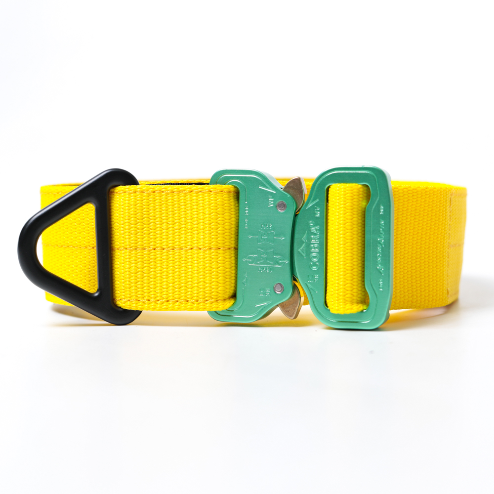 Custom Halsband 40mm Gelb G3 52 - 59cm | Schnalle : Cobra Oliv