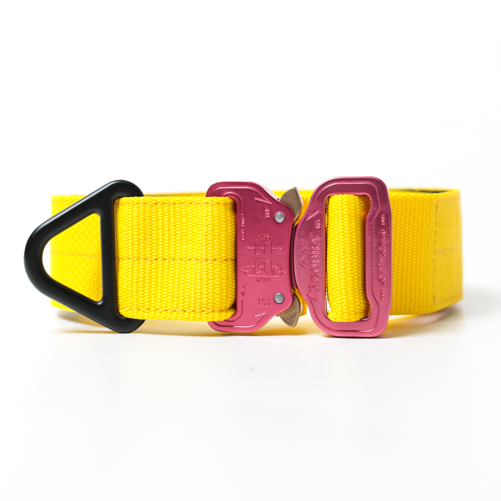 Custom Halsband 40mm Gelb G3 52 - 59cm | Schnalle : Cobra Oliv