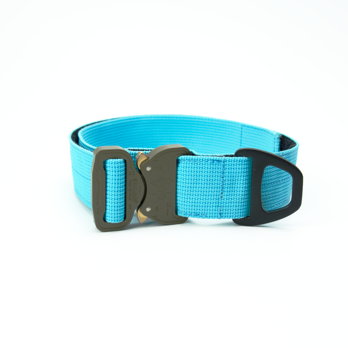Custom Halsband 40mm Hellblau G3 52 - 59cm | Schnalle : Cobra Coyote