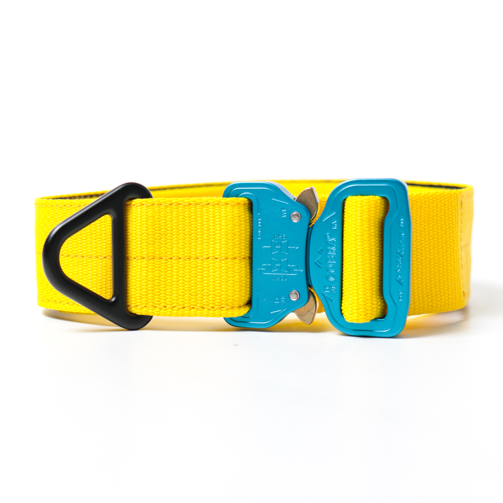 Custom Halsband 40mm Gelb G3 52 - 59cm | Schnalle : Cobra Oliv