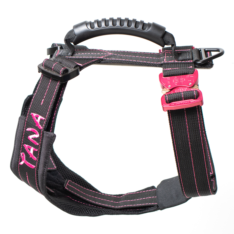 Custom Harness 