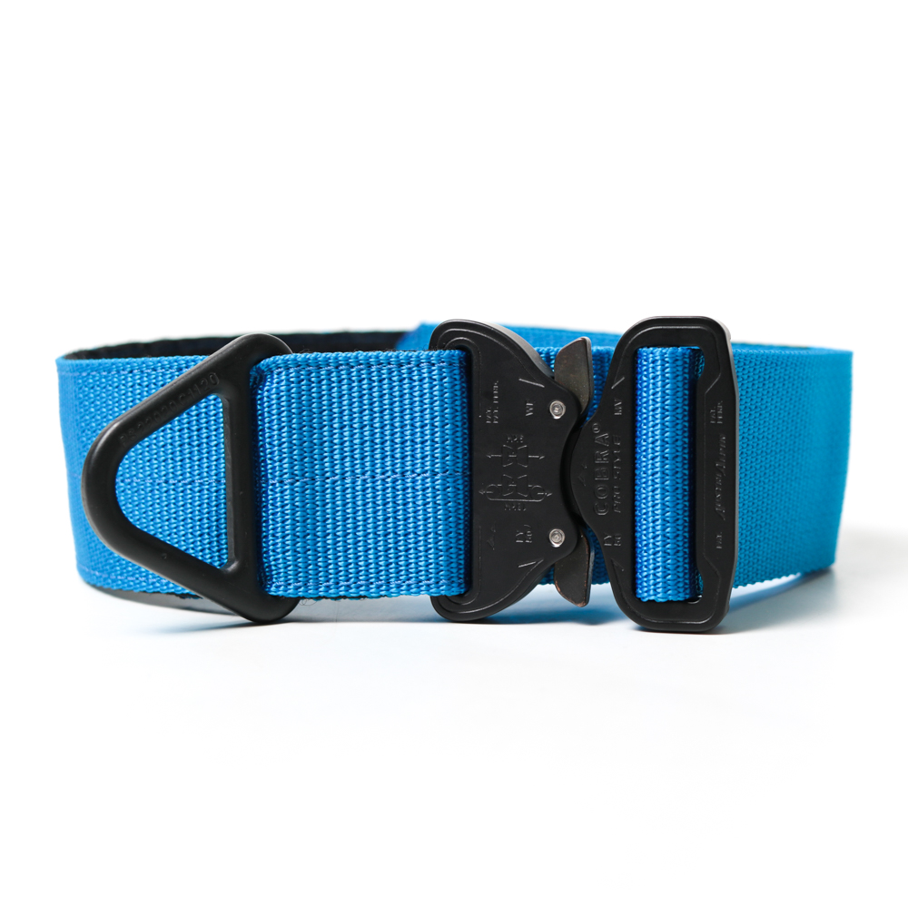 Custom Halsband 50mm Blau