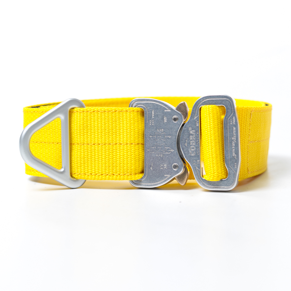 Custom Halsband 40mm Gelb G3 52 - 59cm | Schnalle : Cobra Oliv