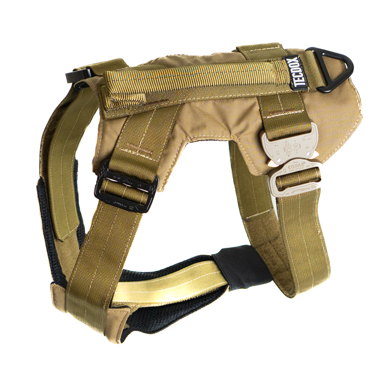 Harness coyote