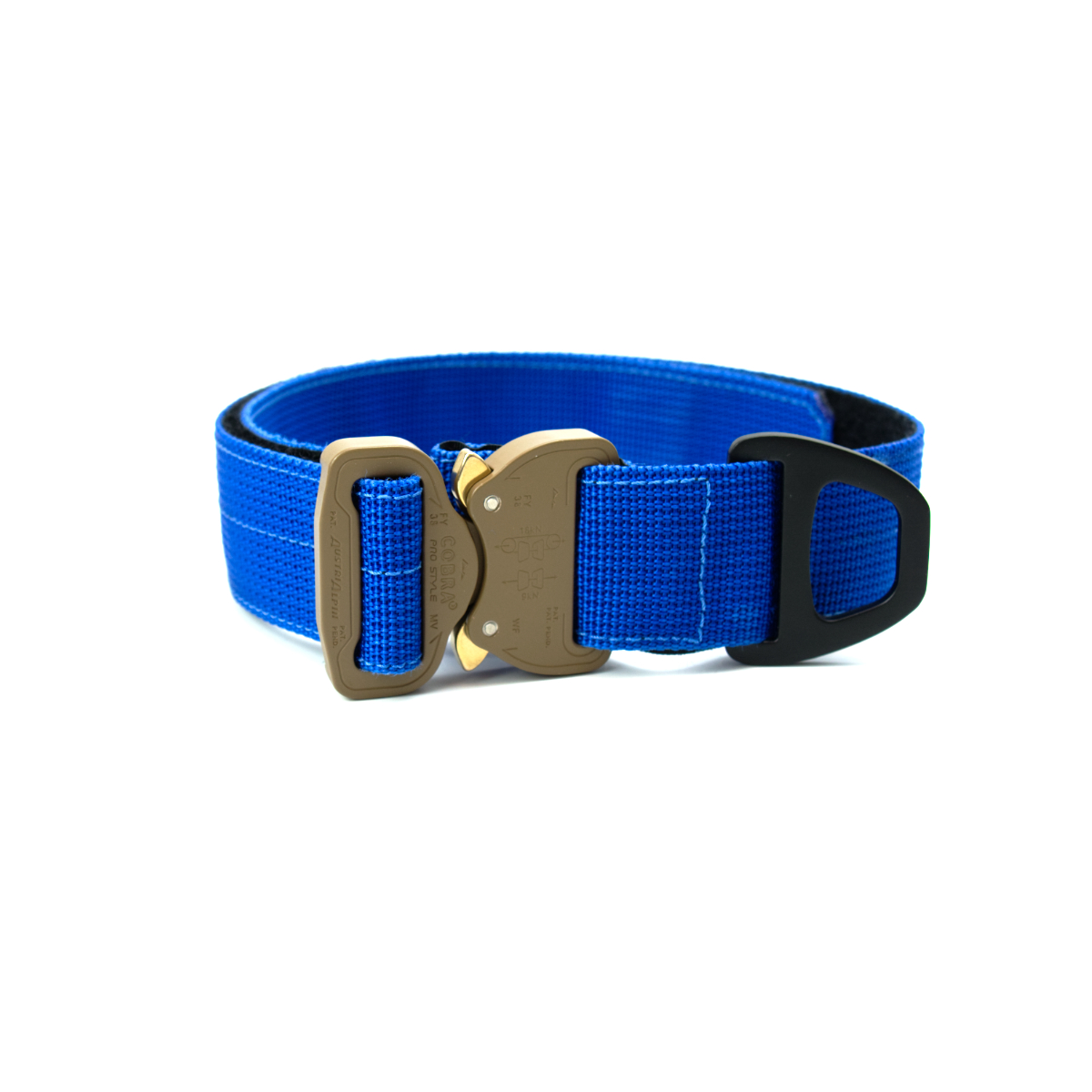 Custom Halsband 40mm Blau G1 38 - 47cm | Schnalle : Cobra Oliv